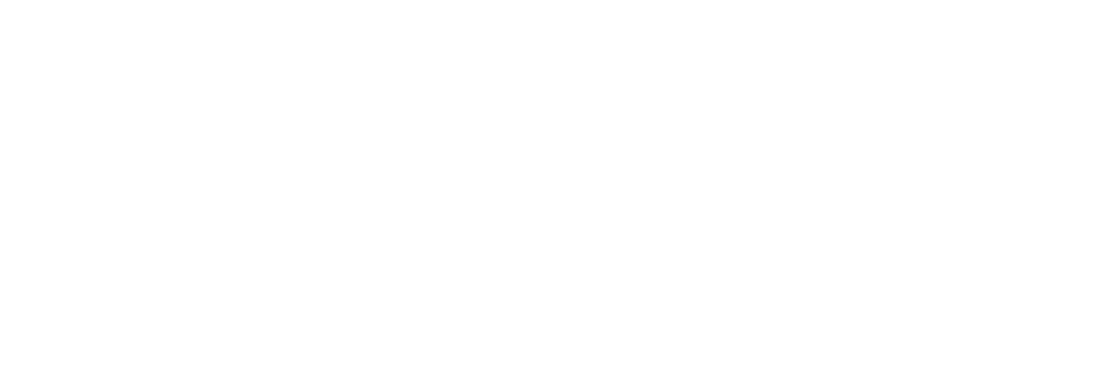 نظم الرؤية الذكية — SVS Smart Vision System